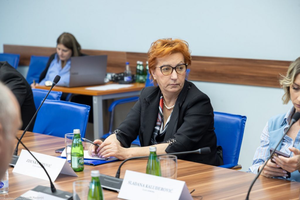 Demokrate: Netačni navodi o imenovanju Zdenke Popović za otpravnicu poslova u Sloveniji!