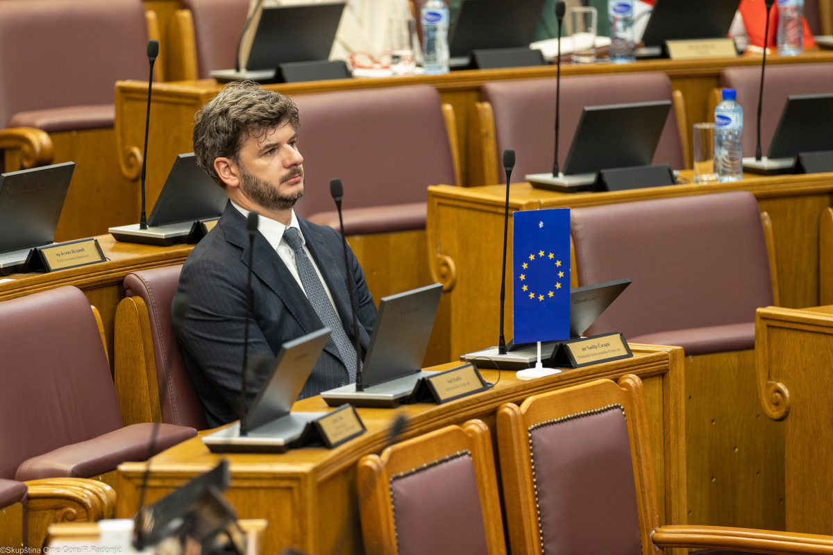 Vasilije Carapic