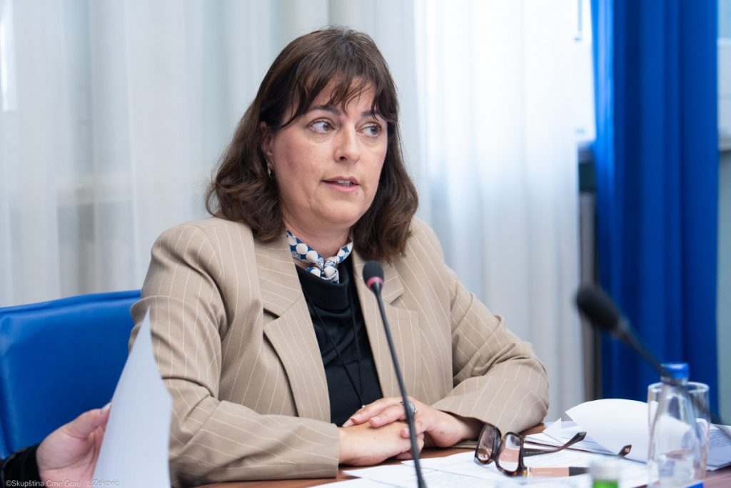 Vujović: Pritiscima i zastrašivanju nema mjesta u kulturi