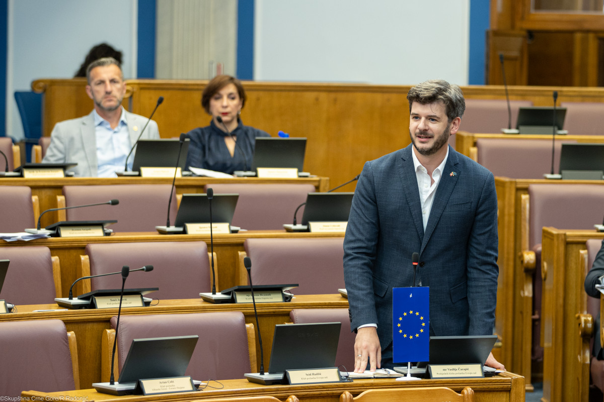 Vasilije Carapic