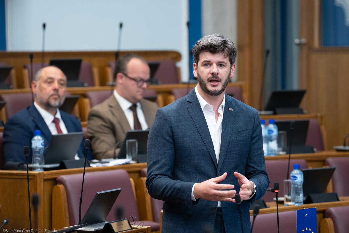 Vasilije Carapic