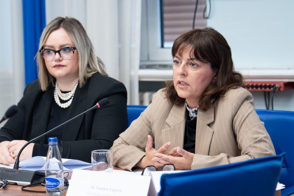 Vujović: Izmjenama zakona jačamo pozorišnu umjetnost i kinematografiju
