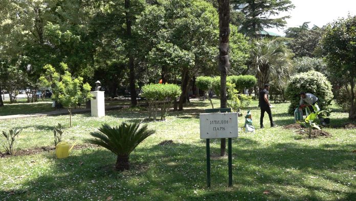 Herceg Novi: U okviru akcije „Boje i mirisi novskih đardina” zasađene nove sadnice u Ilijinom parku