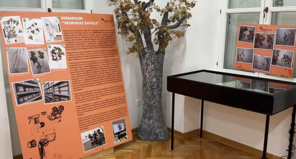 U Dvorcu kralja Nikole otvorena izložba „Botanički vremeplov kroz Bijelopavliće“