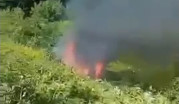 auto gori