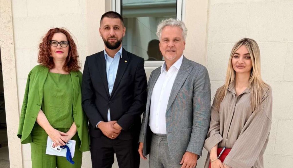 demokratska partija roma