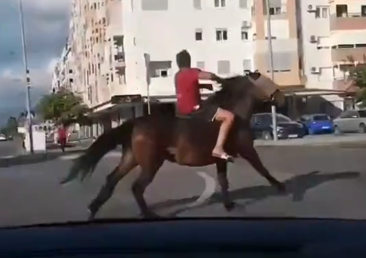 (VIDEO) „Podgorički kauboj“ prodefilovao Starim Aerodromom