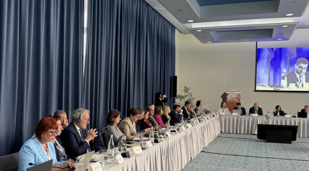 Pavličić na međunarodnom skupu o funkcionisanju javne uprave i pravosuđa