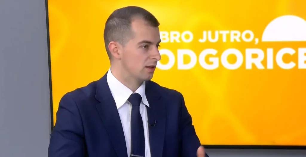 Veljović: Obavezna hibridna i električna vozila u javnom sektoru radi manjeg zagađenja i uštede državnog novca
