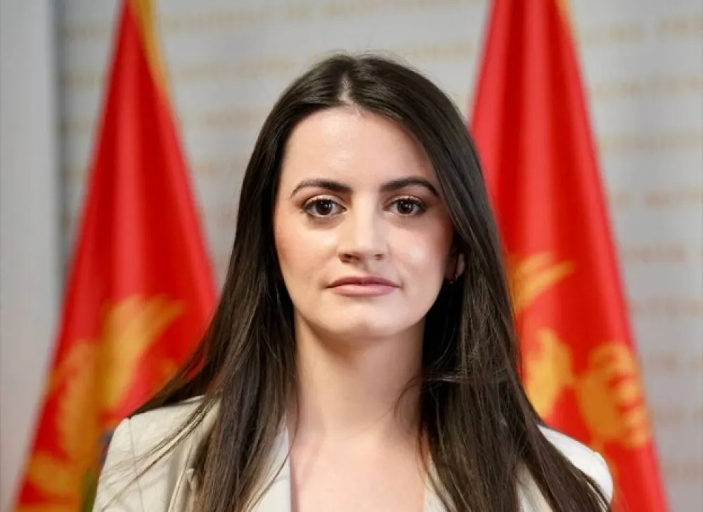 Vesković: Blokada izbornog sistema blokira demokratiju