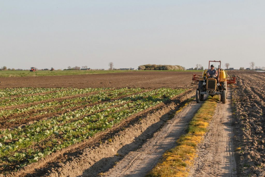 Rast agrobudžeta Podgorice: Za podsticaje u poljoprivredi 815 hiljada evra