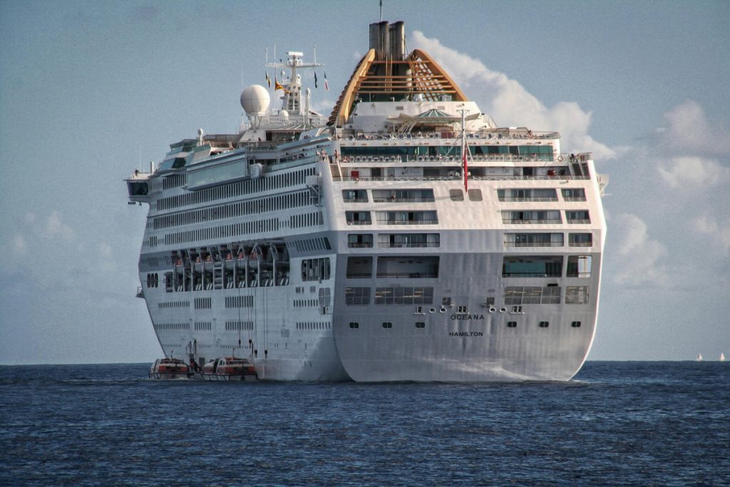 Identifikovan nulti pacijent na brodu „MV Hondius“ koji je obolio od hantavirusa