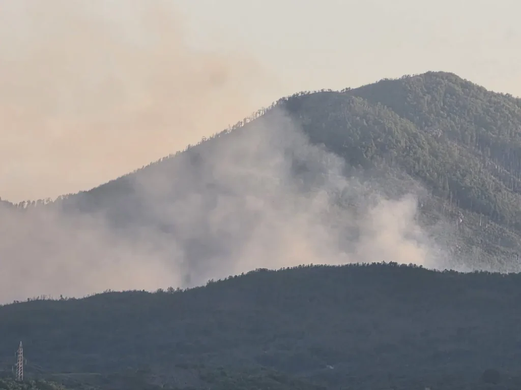 Nikšić: Veliki požar u Bresticama, ugrožene kuće (FOTO/VIDEO)