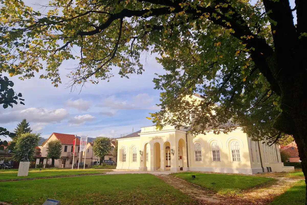 zetksdom