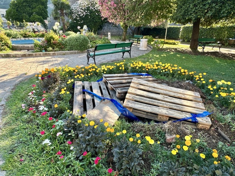 Kotor: Na Gradskoj rivi u malom parku uklonjene palme, rupe prekrivene paletama