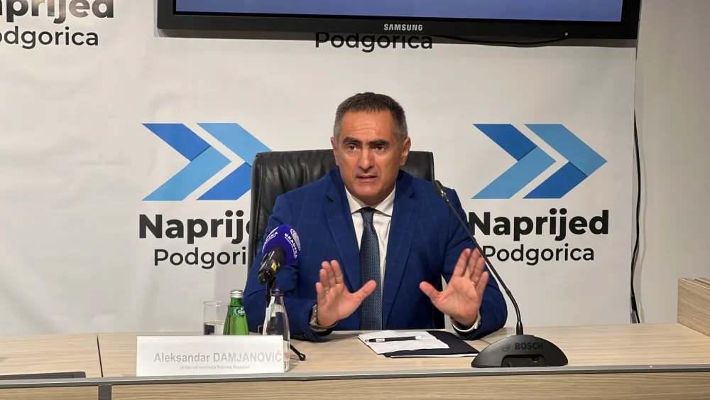 Damjanović upozorava: Ograničenja strancima mogu naštetiti crnogorskoj ekonomiji