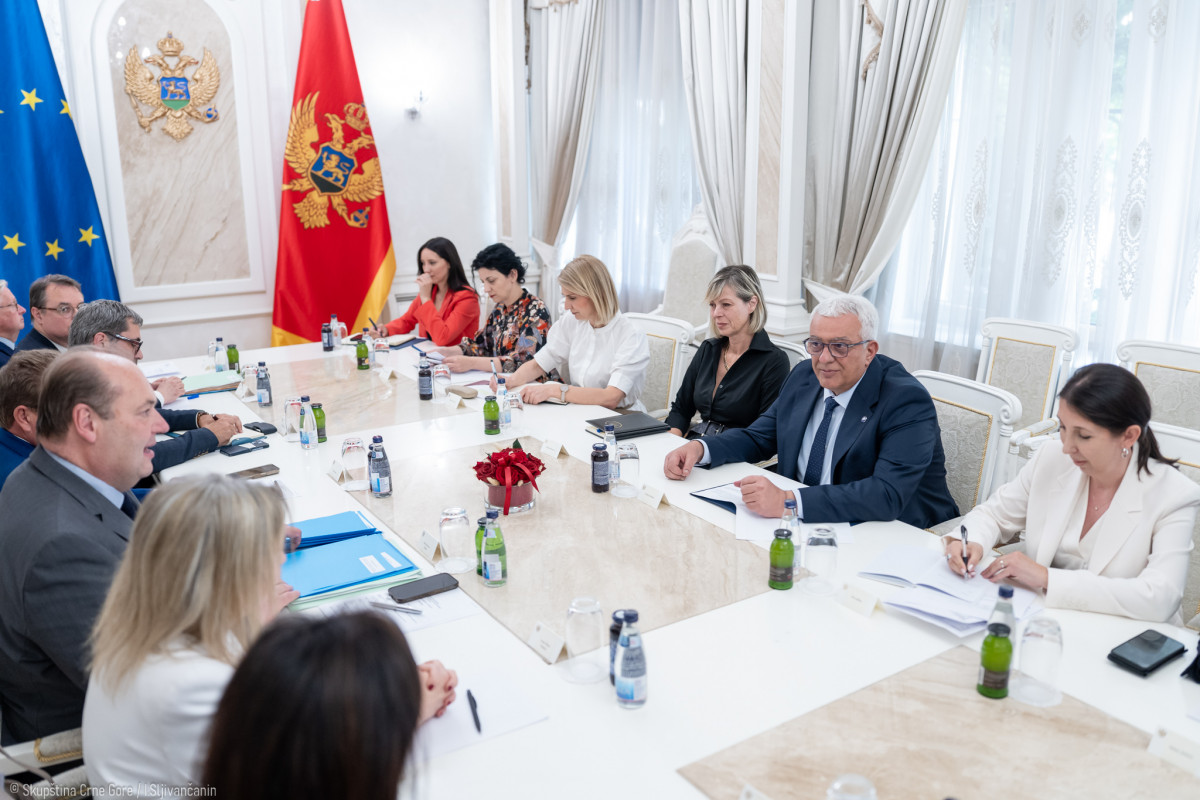 Mandić ugostio delegaciju Odbora za evropske poslove Senata Republike Francuske (FOTO/VIDEO)