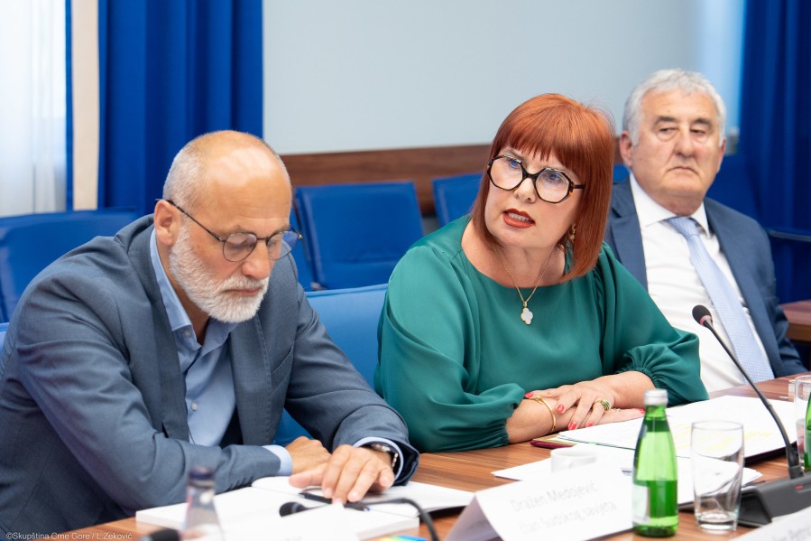 Pavličić: Sudska vlast ne može sama nositi teret vladavine prava, odgovornost mora preuzeti cijeli sistem