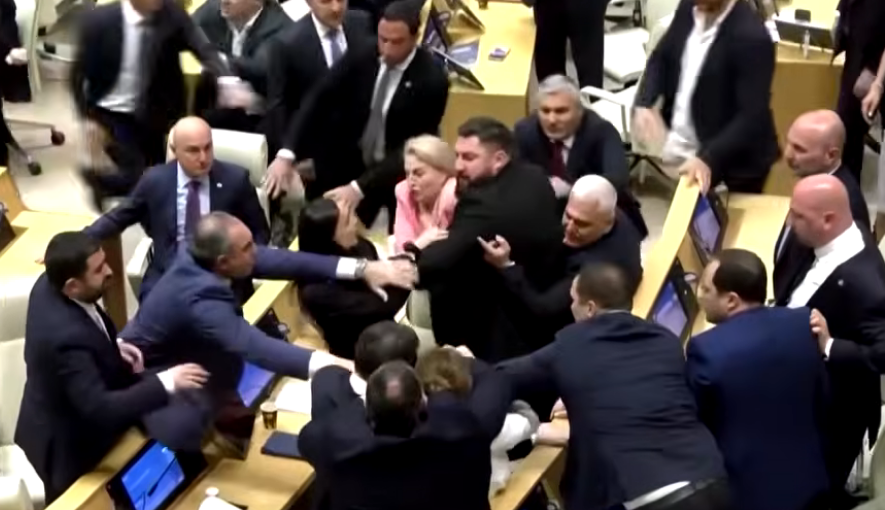 Žestoka tuča u parlamentu Gruzije (VIDEO)