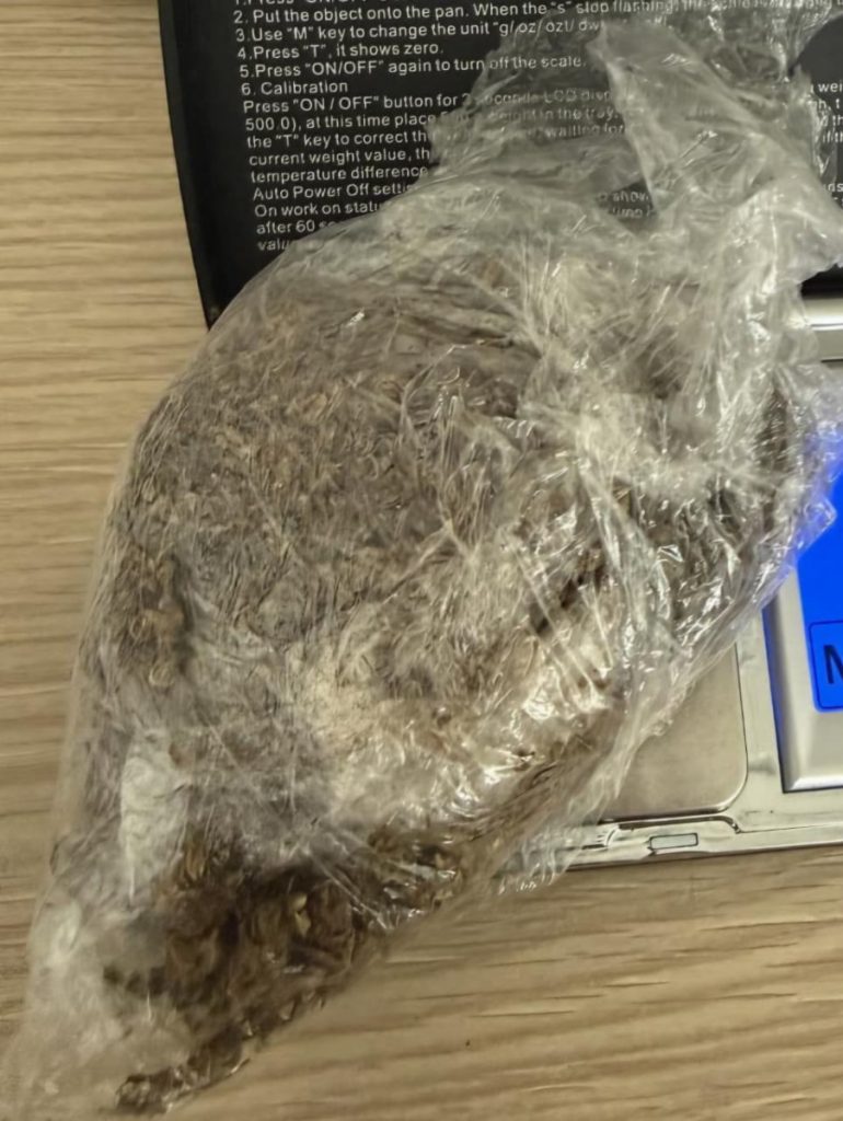 Zaplijenjena marihuana kod Podgoričanina, podnijeta prijava