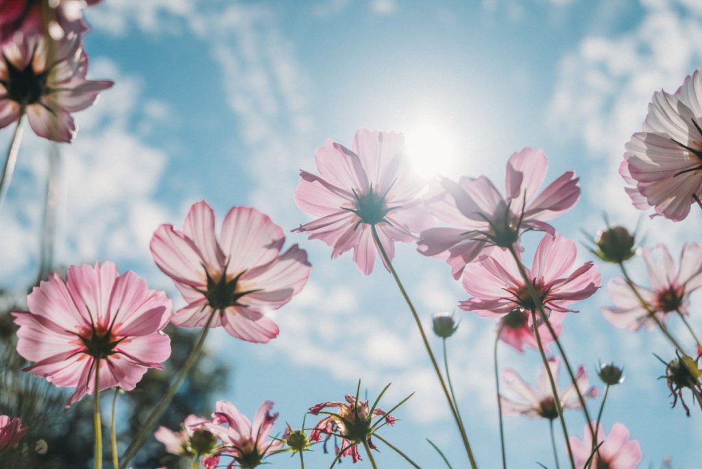 Sjutra pretežno sunčano, temperatura do 30 stepeni