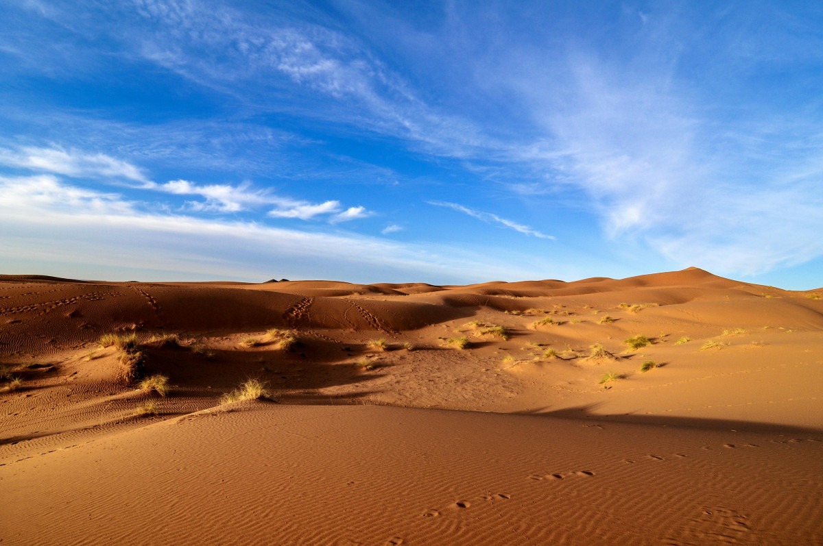sahara