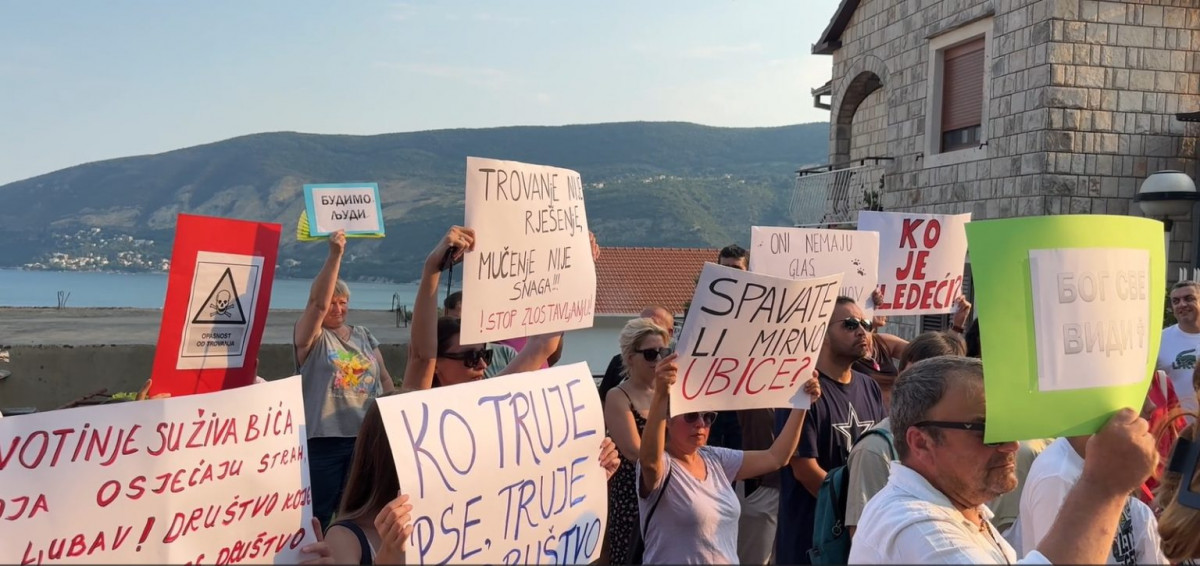 NVO „Prijatelji životinja Sara“ i građani Herceg Novog blokirali ulicu na Gomili zbog trovanja dva ljubimca