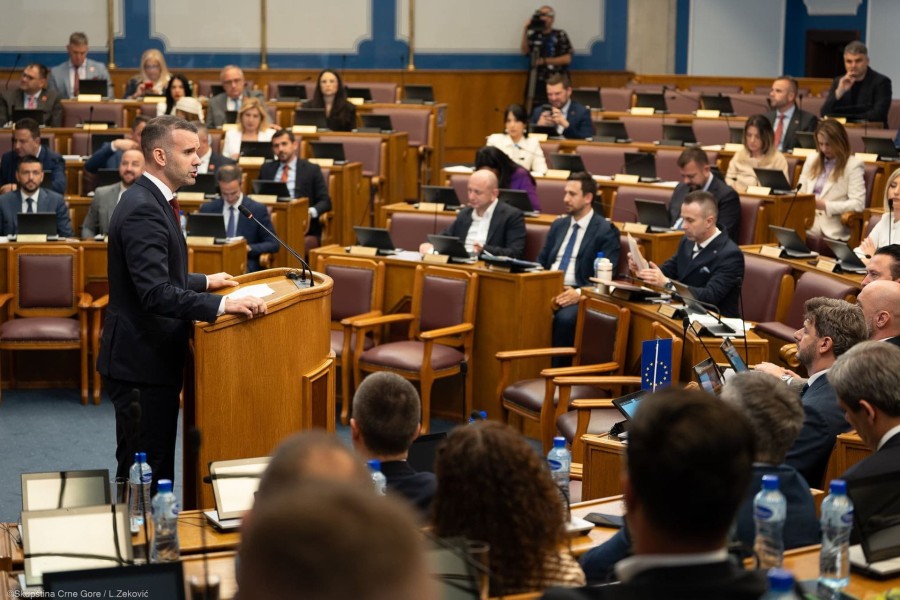 Spajić: Spoljnopolitički faktori i kriminalne grupe udruženo protiv našeg EU puta