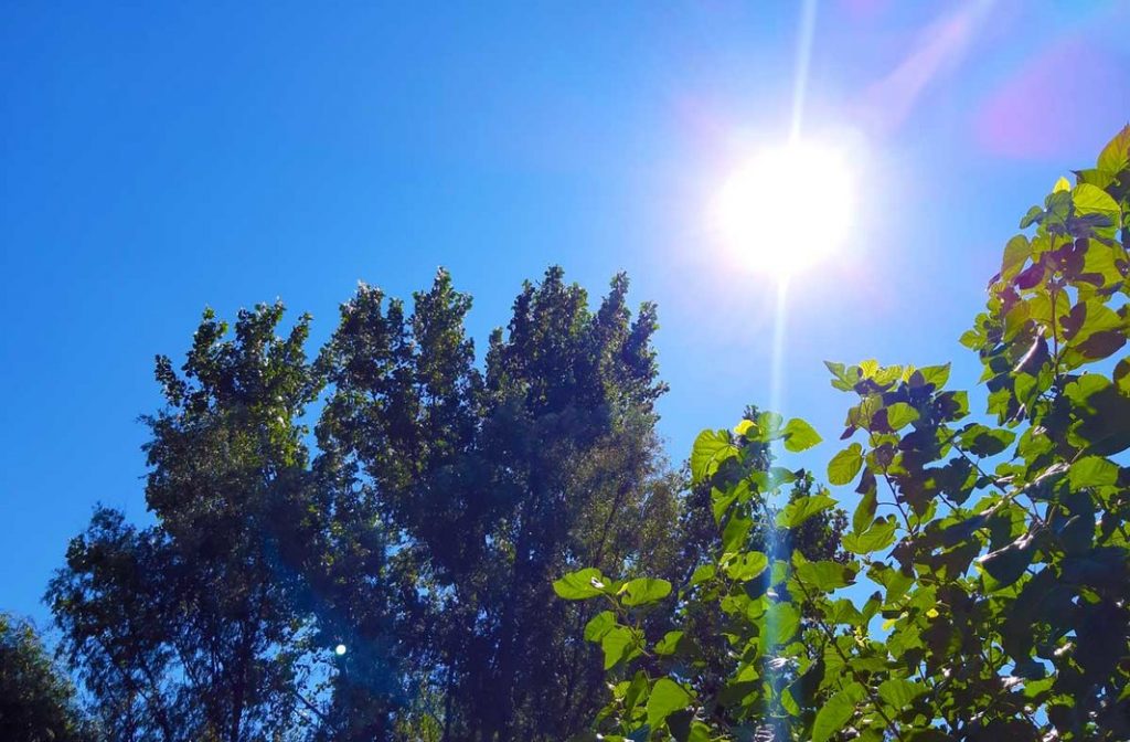 Prognoza za petak: Sunčano i toplo, temperatura do 29 stepeni