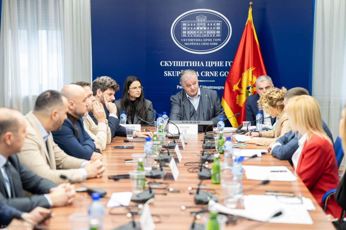 yakonodavni odbor skupstine cg