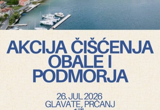 NVO Naša akcija organizuje čišćenje obale i podmorja u Kotoru