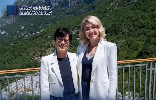 Božović: U ime Nove srpske demokratije najoštrije osuđujem uvrede i napade na Martu Kos.