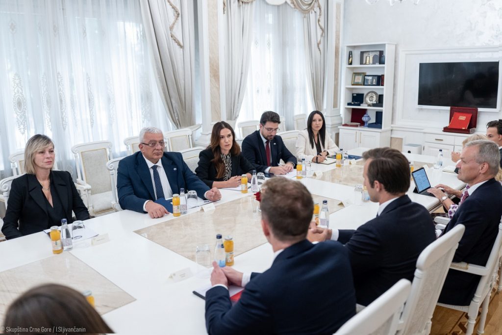 Mandić sa delegacijom holandskog parlamenta: Naš cilj je da svaki korak bude rezultat ozbiljnih reformi, a Crna Gora zemlja bogatih i srećnih ljudi
