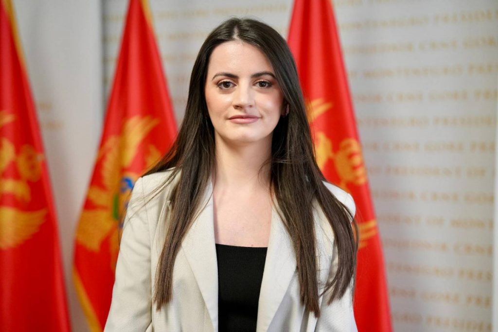 Vesković: Najavljene izmjene bezbjednosnih zakona prilika su za unaprjeđenje pojedinih rješenja