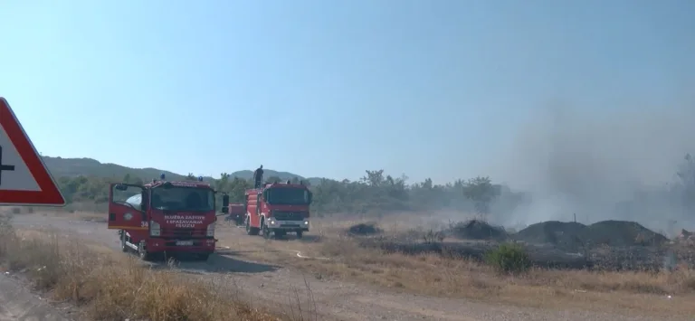 Katnić: Tokom ljeta 84 vatrogasca čuvaju Podgoricu od požara, Piperi, Kuči i Lješanska nahija pod posebnim nadzorom