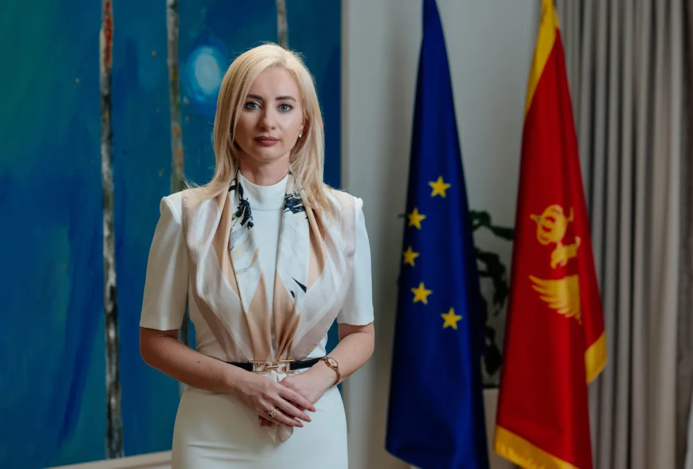 Gorčević: Narednih šest mjeseci biće presudni za našu evropsku budućnost