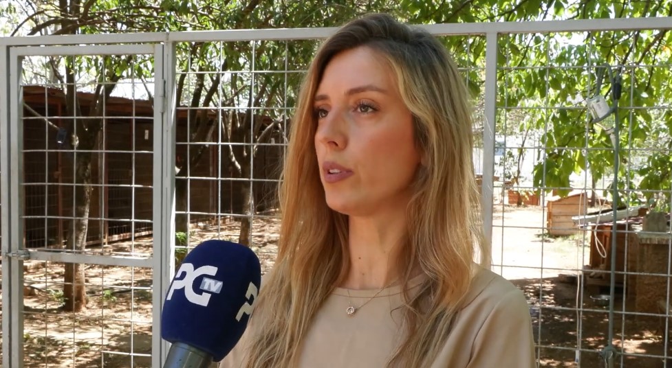 Jovanović: Ne šetajte pse po užarenom asfaltu, ne ostavljajte ih u automobilu