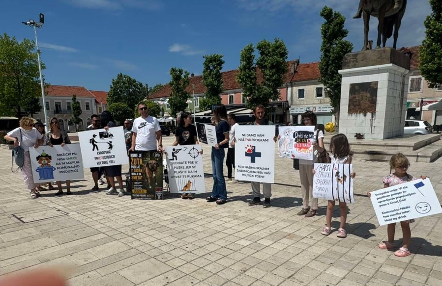 Protest u Nikšiću zbog uklanjanja pasa sa ulica: Udruženje Korina traži humanije rješenje