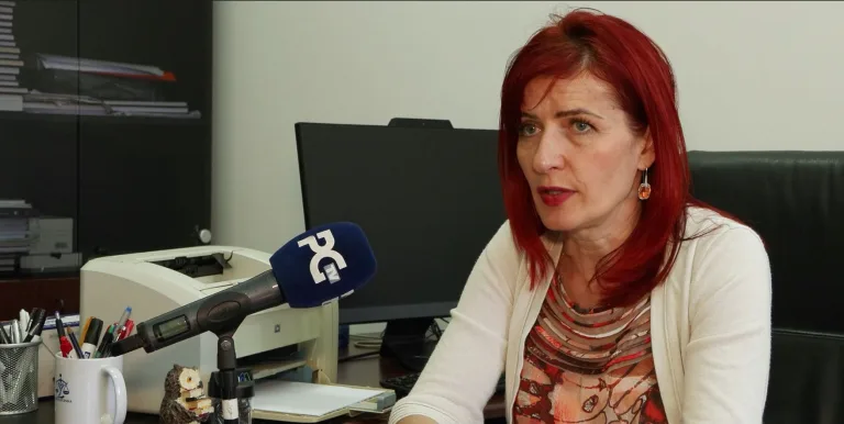 Simović Zvicer: Naknada za materinstvo ne bi bila diskriminacija, već usklađivanje sa pravilima EU (VIDEO)