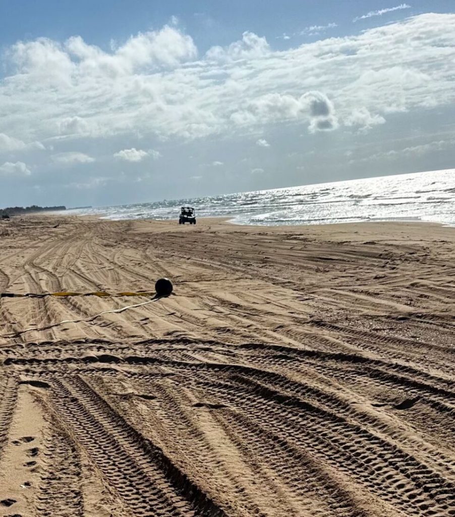 Misteriozne kugle na plaži zbunile sve: Istina je mnogo opasnija nego što se mislilo