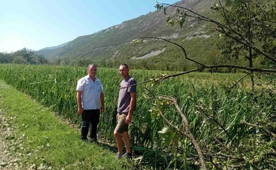 Nevrijeme opustošilo usjeve u Danilovgradu, Opština formira komisiju za procjenu štete